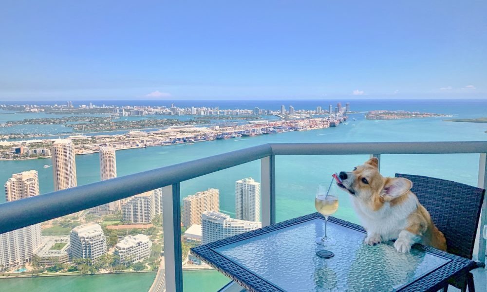 Apartments For Rent Miami_